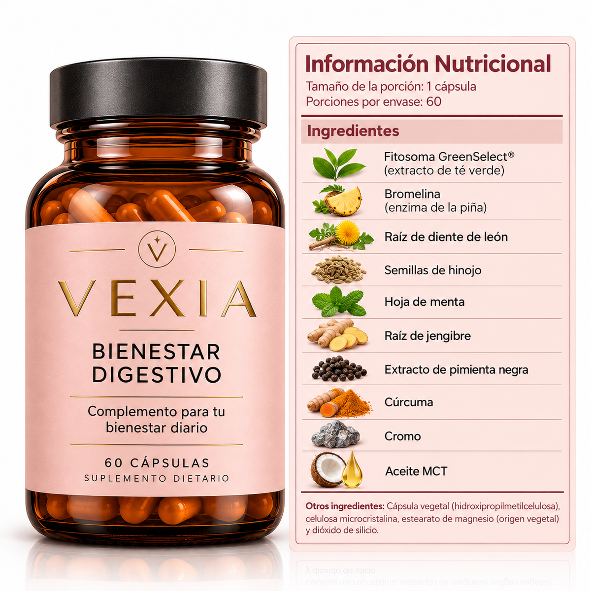 VEXIA - Bienestar digestivo